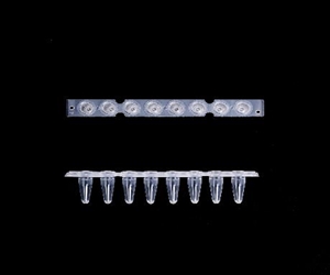 0.2ml八聯(lián)排PCR管，光學(xué)平蓋，透明，科進(jìn)/KIRGEN