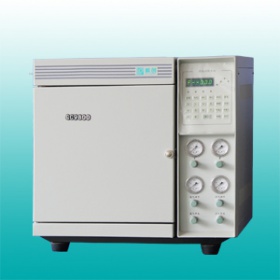 天然氣分析專用氣相色譜儀（GC9800型網絡化）