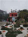 云南學校校園氣候全天候監測 科研一體化氣象監測站