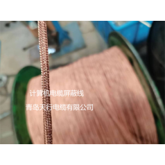 DJYVP、DJYPVP儀表信號計算機(jī)電纜生產(chǎn)廠家 天行品牌 生產(chǎn)定制
