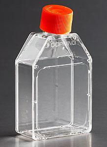 Corning 細(xì)胞培養(yǎng)容器，CellBIND(R) 表面，滅菌 3067