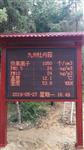負氧離子含氧量監測站，負氧離子在線觀測設備